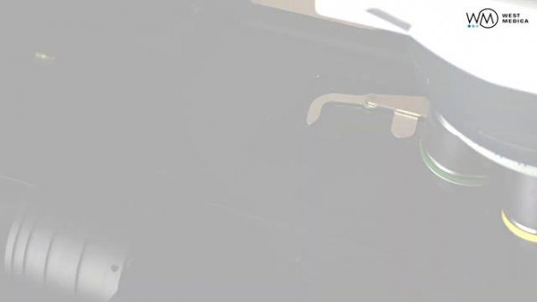 Автоматическая сканирующая система | Vision System Ultimate