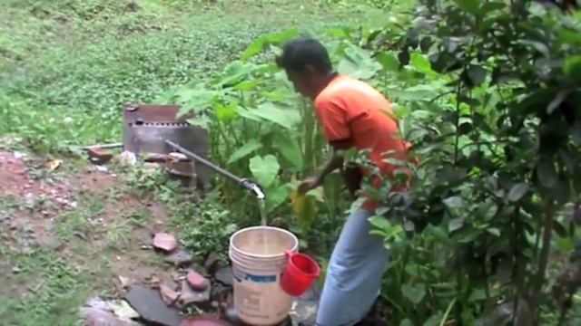 Arsenic Removal in Noakhali- Using Pteris vittata as an Eco-Friendly Implement.m4v смотреть онлайн