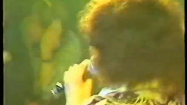 Venus Live 1980 Original Members Shocking Blue