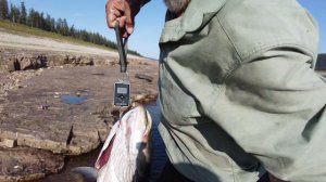 Рыбалка на реке Оленёк