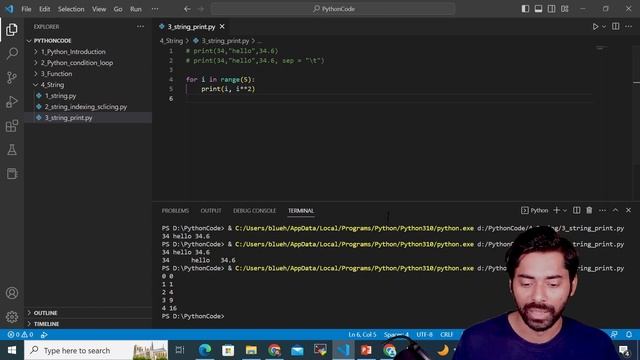 Python print function смотреть онлайн