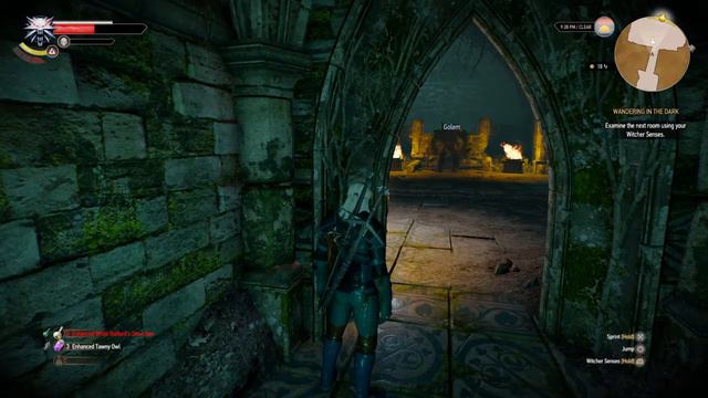 Witcher 3 glitch смотреть онлайн