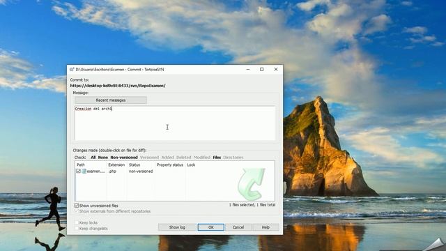 Visual Svn Server Manejo смотреть онлайн