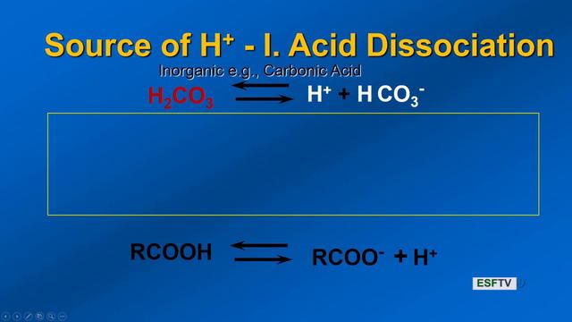 Forest Soils - Colloids and Soil Acidity 2019 смотреть онлайн