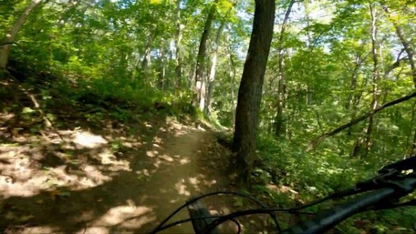 Intense Carbine Ride and Review! || Whitetail Ridge Mountain Bike Trails