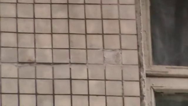 МЭРА СОБЯНИНА ВЫГОНЯЮТ ИЗ МОСКВЫ: "Собянин СС. Домой в Когалым! Давай, до свидания! смотреть онлайн
