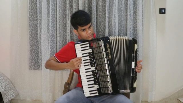 Pirates of the Caribbean - Accordion Cover смотреть онлайн