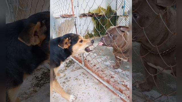 Люди встречаются,люди влюбляются смотреть онлайн