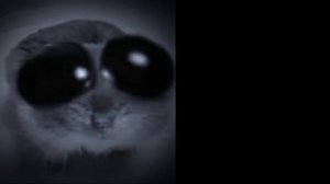 грустные лица хомяка (шаблон для мемов)