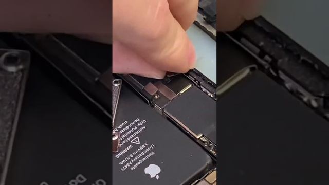 Charger 12 mini смотреть онлайн