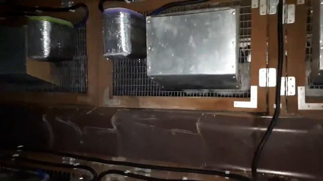 Поилки для кроликов с подогревом смотреть онлайн