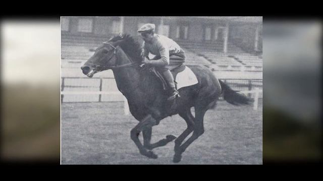 5 Самых Знаменитых Лошадей! смотреть онлайн