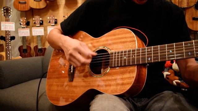NEW/DCT FR-200E@guitarshoptantan смотреть онлайн