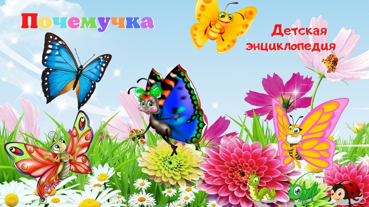 0+ Какие бывают бабочки? От гусеницы до бабочки. Почемучка. Детская энциклопедия. смотреть онлайн
