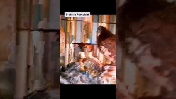 Брама Порцилян (Фарфор)