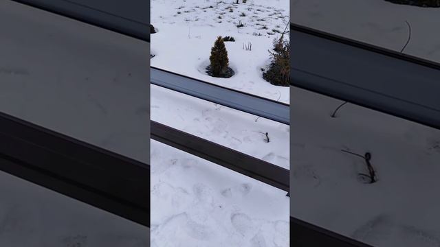 Грядки оцинкованные. Грядки с полимерным покрытием. Грядки смотреть онлайн