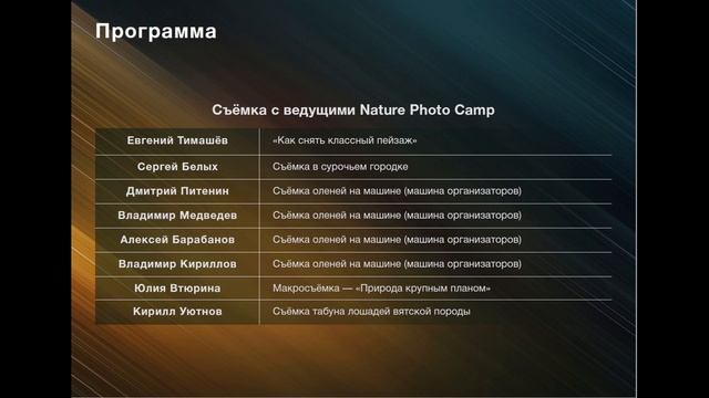 Как снять оленей в средней полосе России? Nature Photo Camp смотреть онлайн