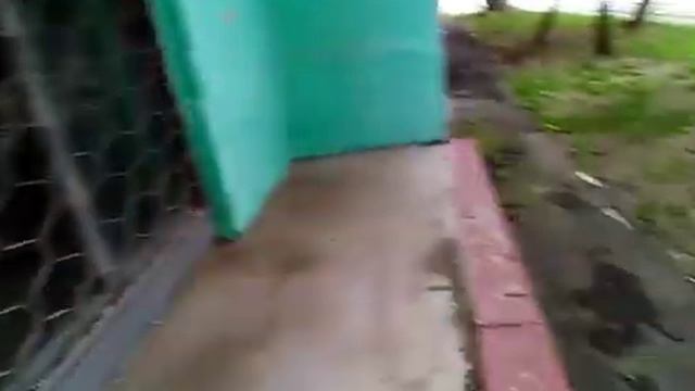 Сериал ИМРК 164 — Прогулки с собаками с Иваном Краснояровым