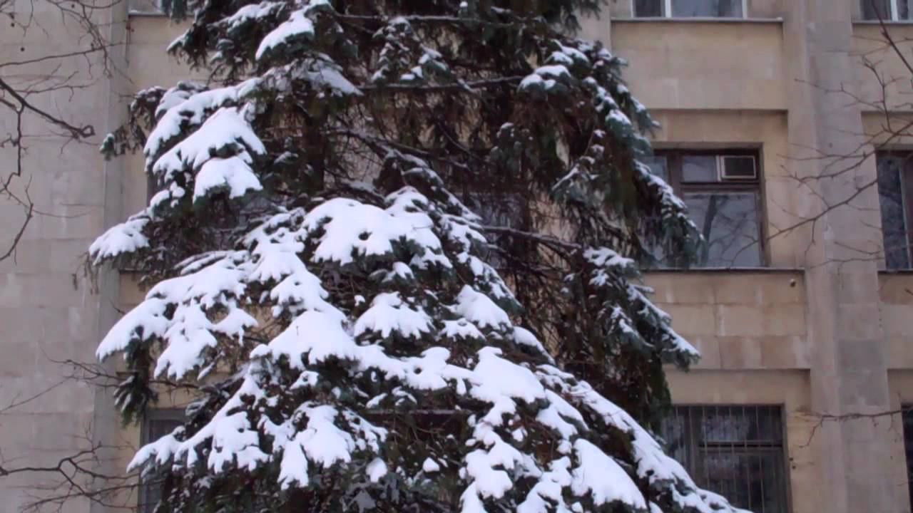 Опять засыпало....