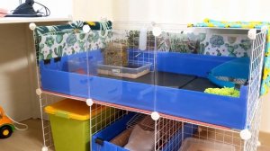 Как мы делали стеклянный вольер для морских свинок / How to create a glass C&C cage wall for piggie