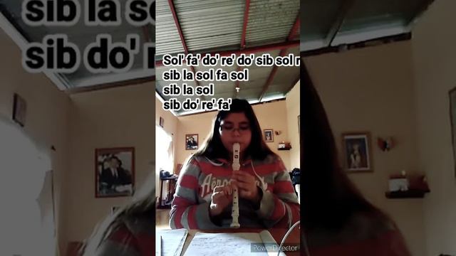 zui meng cover en flauta dulce смотреть онлайн