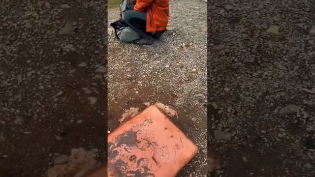 Вода кипит в земле. Термальные источники. Камчатка смотреть онлайн