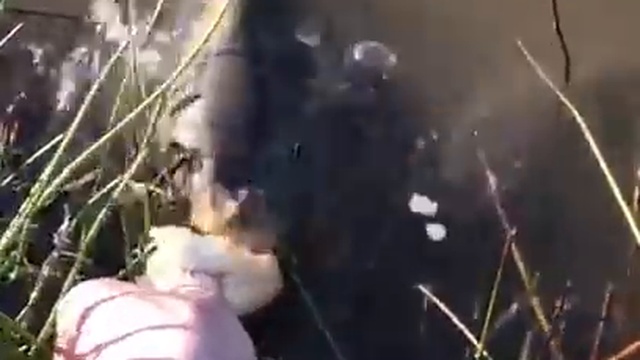 озеро непуганой рыбы смотреть онлайн