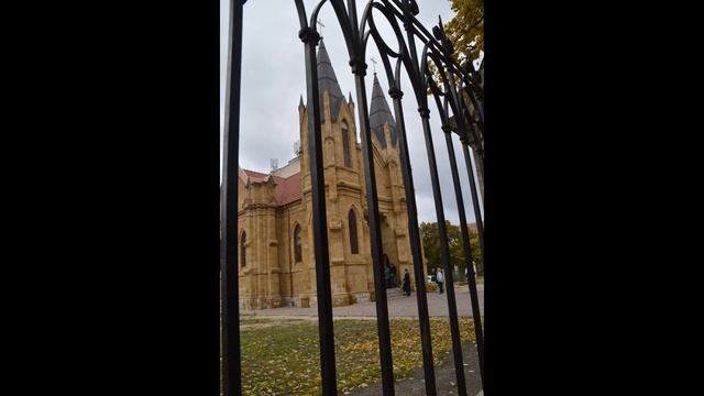 Наши дамы в Оргееве смотреть онлайн