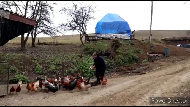 Տատիկս Դարձավ 80 տարեկան-Бабушке Исполнилось 80лет Grandmother is 80 years old-Шамшадин-Շամշադին смотреть онлайн