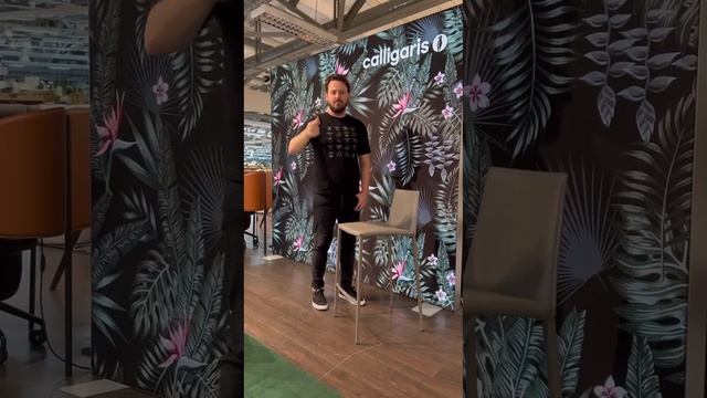 Барные стулья от Calligaris смотреть онлайн