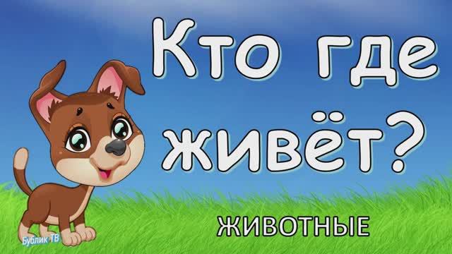 Развивающее видео для детей _Домики животных или кто где живёт_.mp4 смотреть онлайн