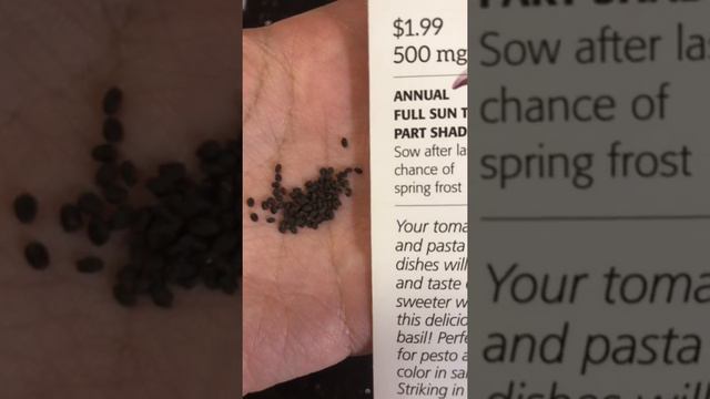 What does basil seeds look like (Purple Petra)? With seed packet grow instructions смотреть онлайн