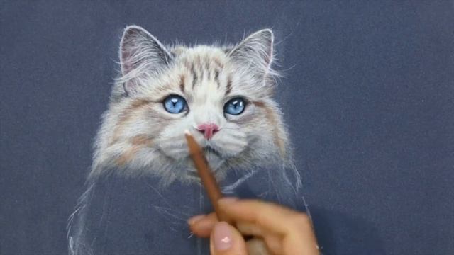 Как нарисовать кота реалистично. Получите 50 уроков в описании. смотреть онлайн