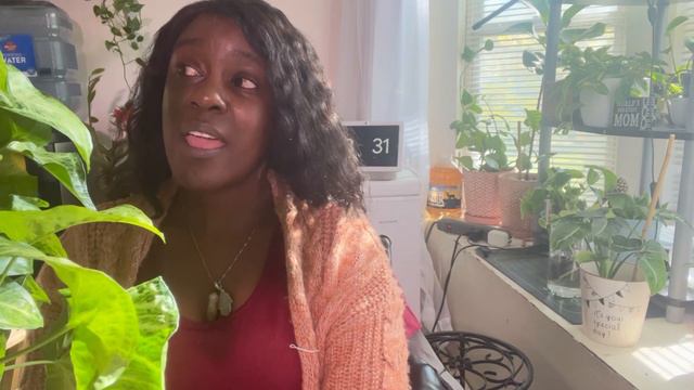 Syngonium care смотреть онлайн