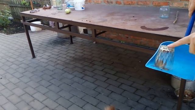 Мышей ловим стаканом смотреть онлайн
