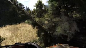 Охота на Белохвостую Куропатку в theHunter Classic !