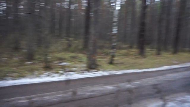 В лесопарке им. Лесоводов России.(02.11.2017 г) Видео Нусратуллина Ф.Г. смотреть онлайн