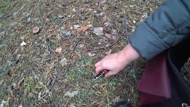 Рядовки. Нарвались на жилу! 31авг 2019(2) смотреть онлайн