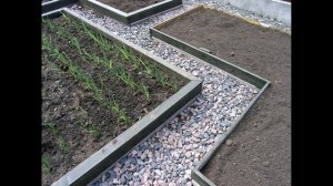 Дорожки в теплице между грядками своими руками