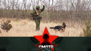 На защите рубежей жемчужины России: пограничное управление Республики Крым | «Смотр»