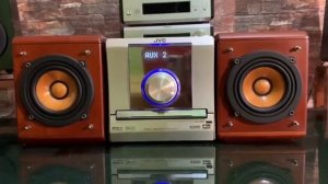 micro JVC EX-D11 wood cone speakers