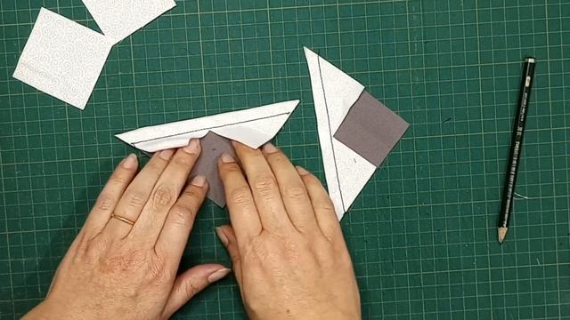 Vôo do Ganso Rápido e Sem Desperdício!