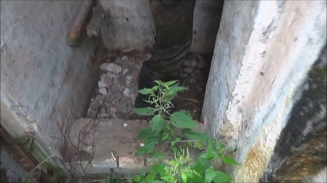 Два Дота .Редкость в наше время )))) смотреть онлайн