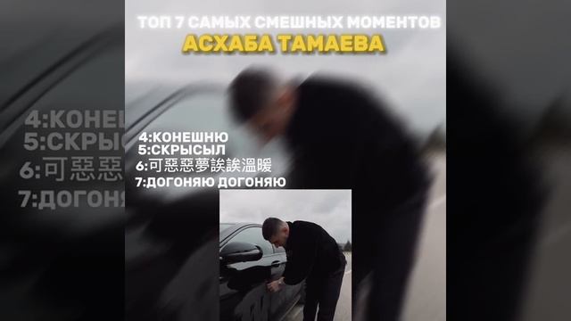 Тамаев