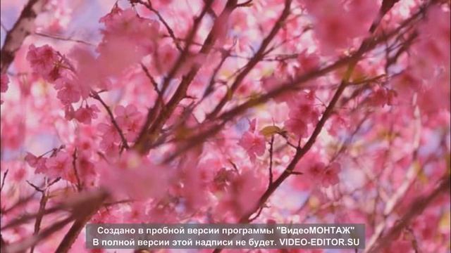 Гавайская Гитара смотреть онлайн