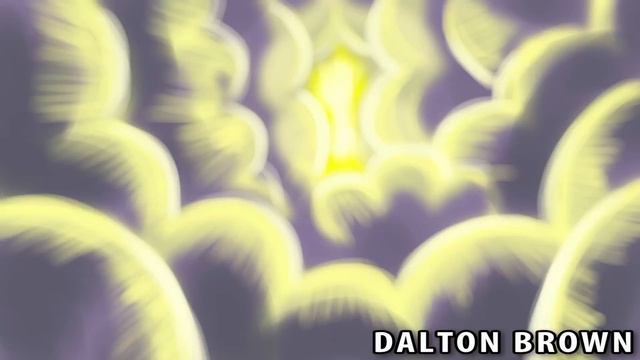 FIREWORK FULL COVER (JONTRON OFFICIAL)