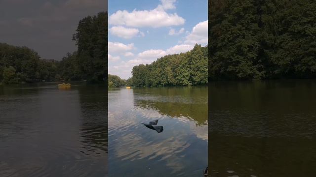 Жить и наслаждаться