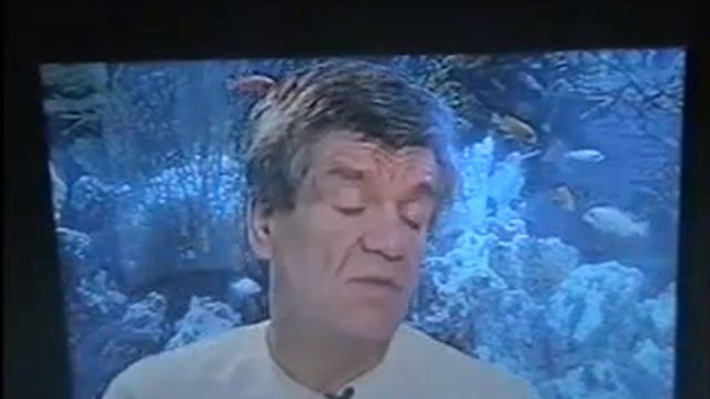 Boxing's Film, кино о боксе.