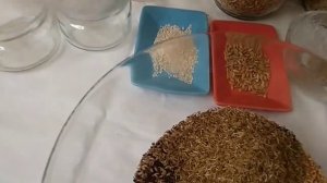 Готовим зерновую смесь для наших канареек