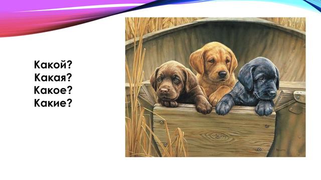 Рус 7 апр смотреть онлайн